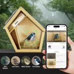 Spring Sale  Save 37% on the Reli Birdy Wooden Smart Birdhouse! Now only $189.00 USD (was $299.00).