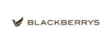 Blackberrys Coupon Code – Buy 2 Get 30% Off on Linen Shirs For Men